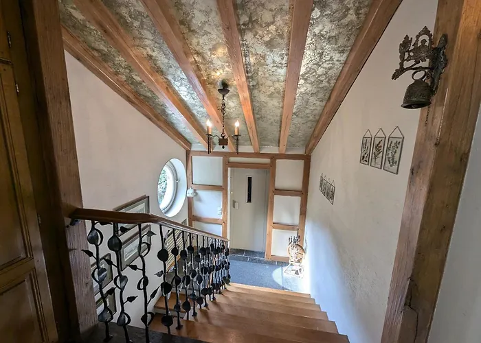 Eleganza מונשאו